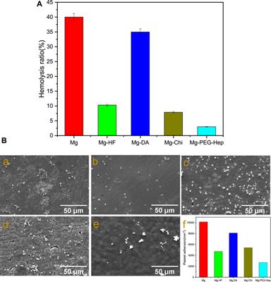 Synthesis of Star 6-Arm Polyethylene Glycol-Heparin Copolymer to Construct Anticorrosive and Biocompatible Coating on Magnesium Alloy Surface